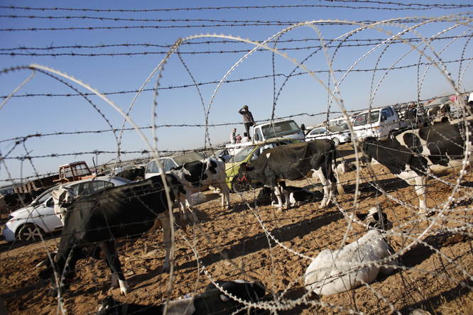 Mange kurdere flykter fra Syria. (Foto: Reuters/Scanpix)