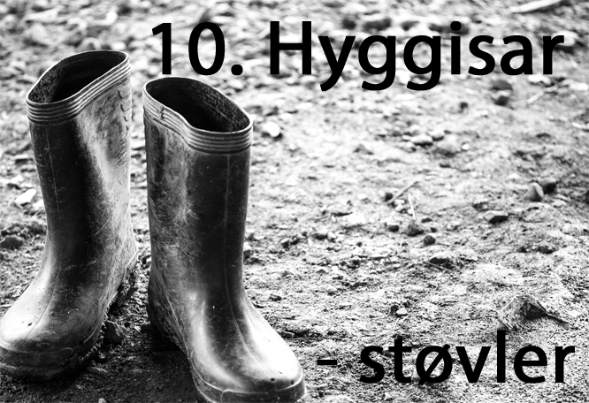 hyggisar1