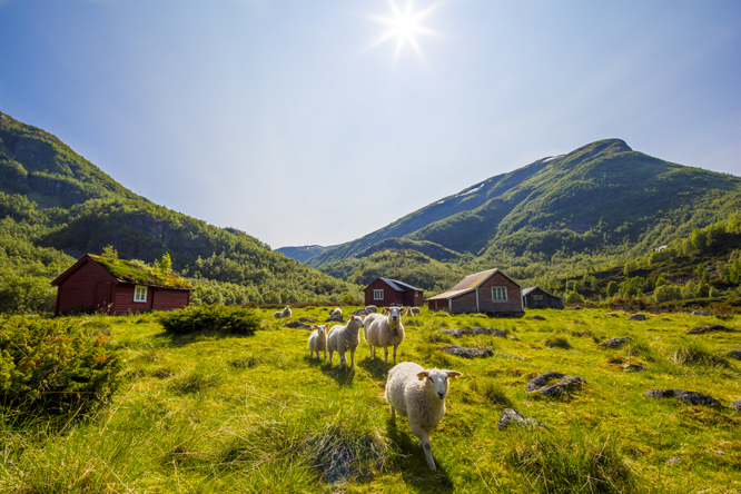 (Foto: © Espen Haagensen / NTB scanpix)