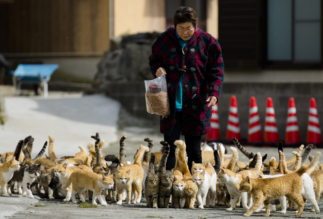 (REUTERS/Thomas Peter (JAPAN)