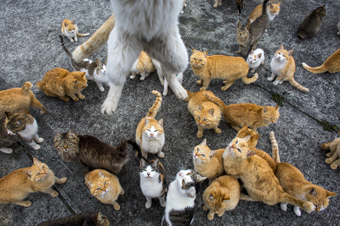 (REUTERS/Thomas Peter (JAPAN)