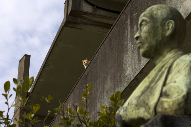 (Foto: REUTERS/Thomas Peter)