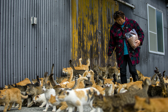 (Foto: REUTERS/Thomas Peter)