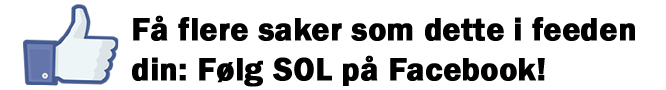 folg_sol_mini