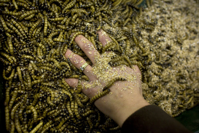 (Foto: Jerry Lampen/Reuters)