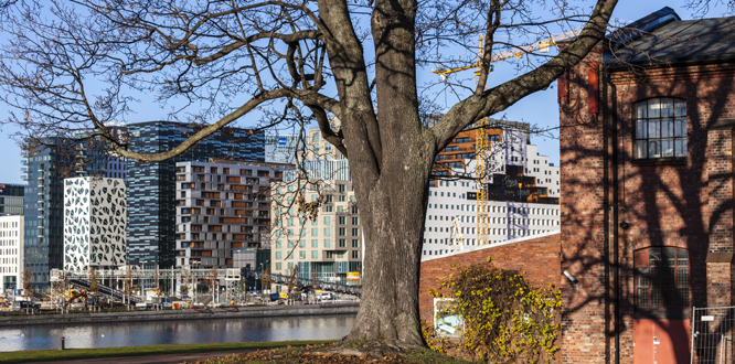 Barcode-rekken, også kalt Opera-kvarteret, høyhusrekken i utbyggingsområdet i Bjørvika i Oslo mellom sporområdene ved Oslo S og den nye Dronning Eufemias gate. Middelalderparken i forgrunnen. Foto: © Svein Nordrum / NTB scanpix