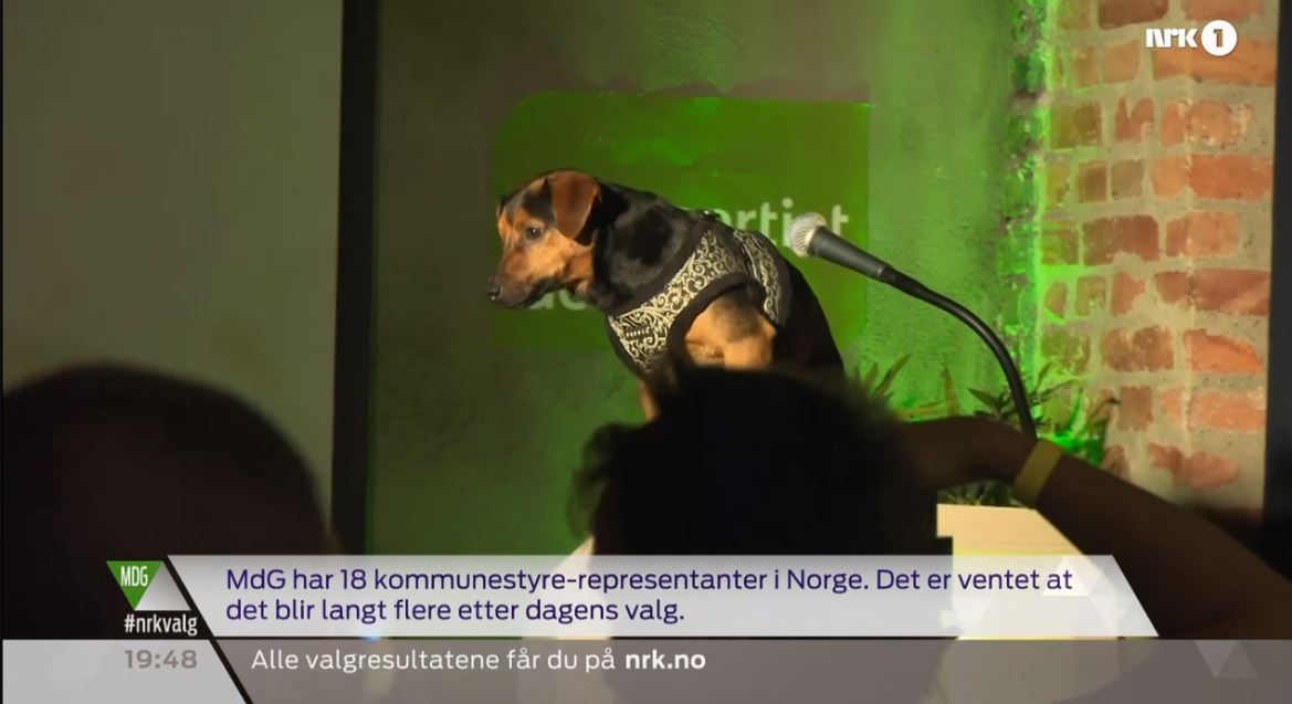 Miljøpartiet De Grønne