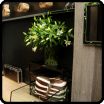 aspirationstyle/decore/accessories/accessories5