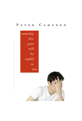 peter cameron someday this pain will be useful