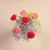 Carnation Posy