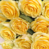 20 Luxury Yellow Roses