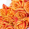 20 Luxury Orange Roses - Deluxe