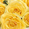 20 Luxury Yellow Roses - Deluxe
