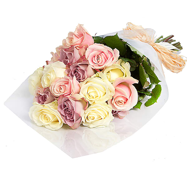 20 Luxury Pastel Roses