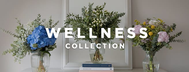 Wellness collection