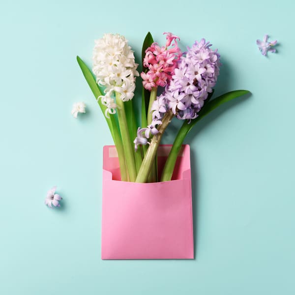 pink envelope with flowers