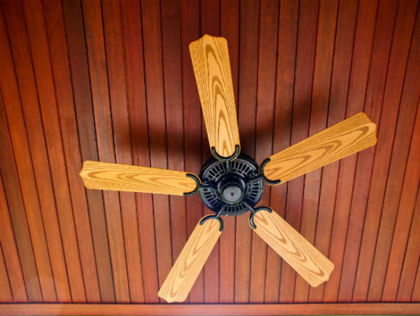 Ceiling Fan Buying Guide