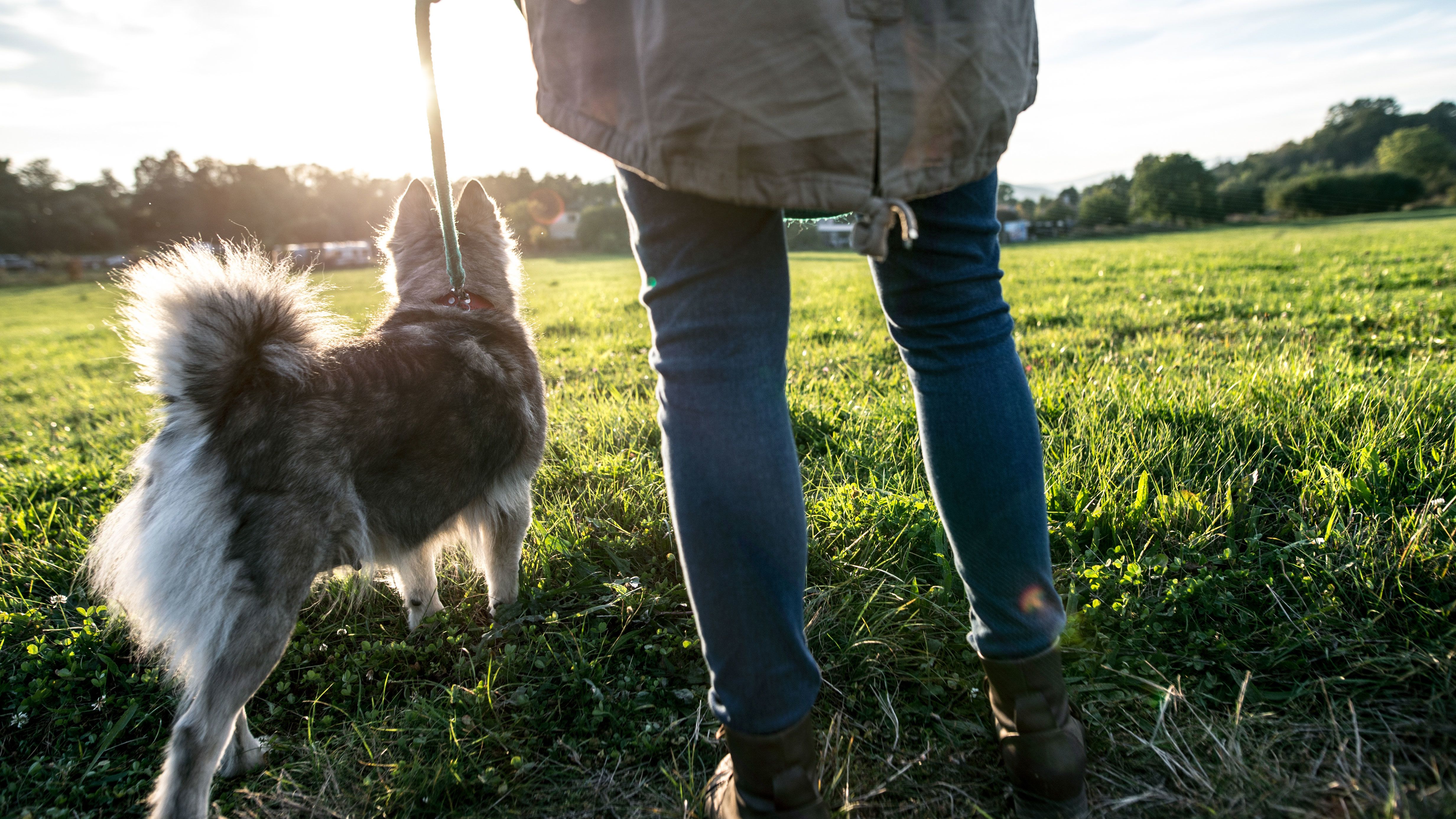 7 powerful ways to get your energy back
