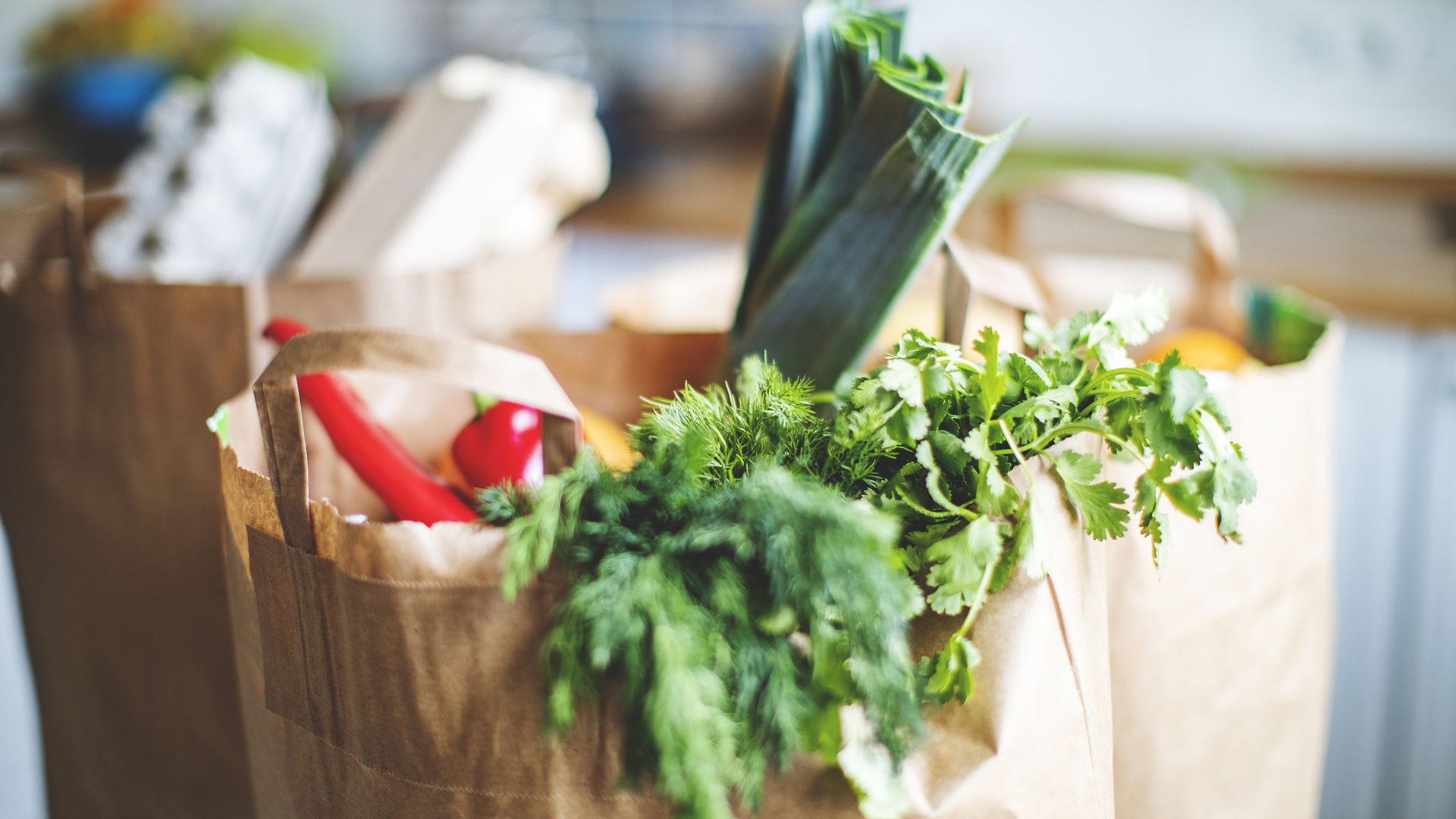 Why diet makes a difference when you have MS