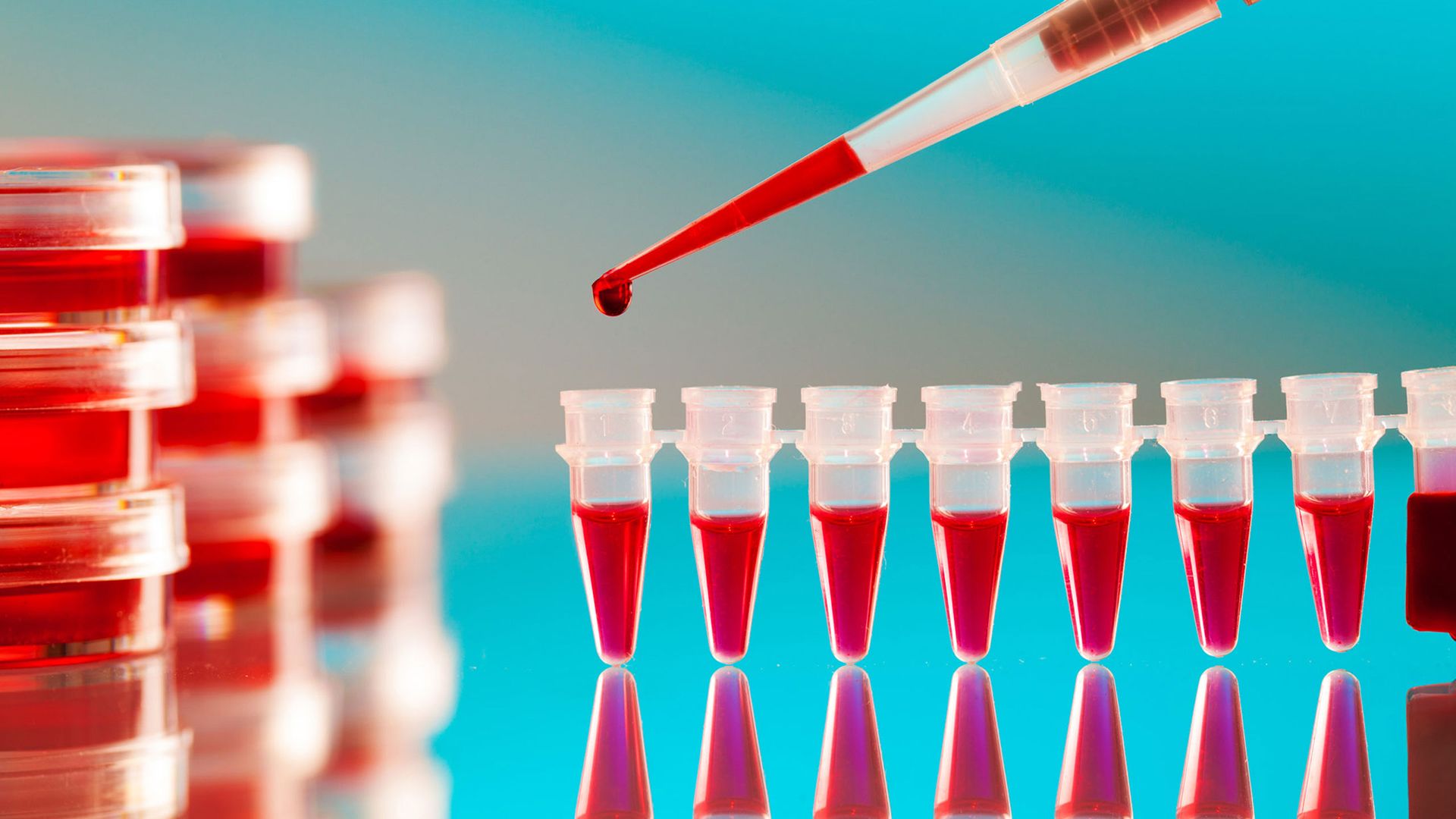 Hepatitis C genotypes, explained