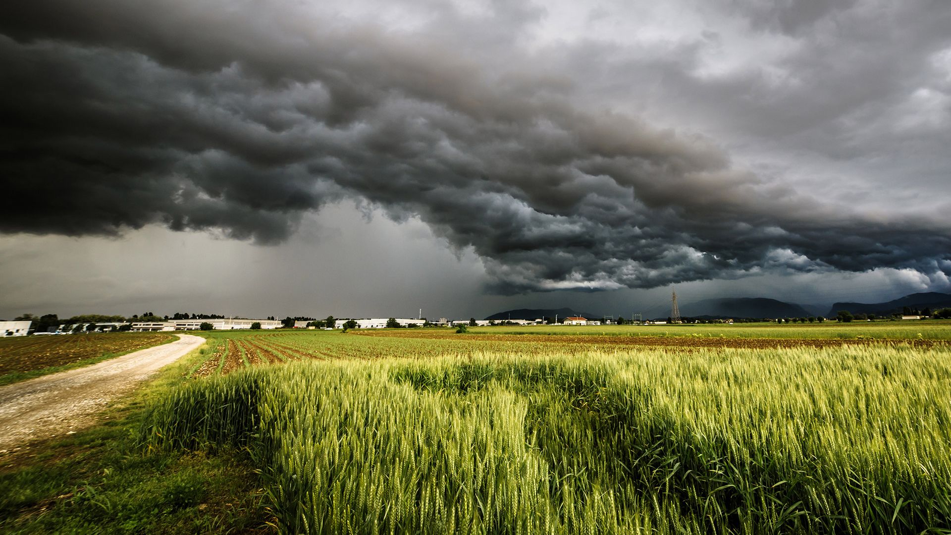 What does living with bipolar disorder feel like?