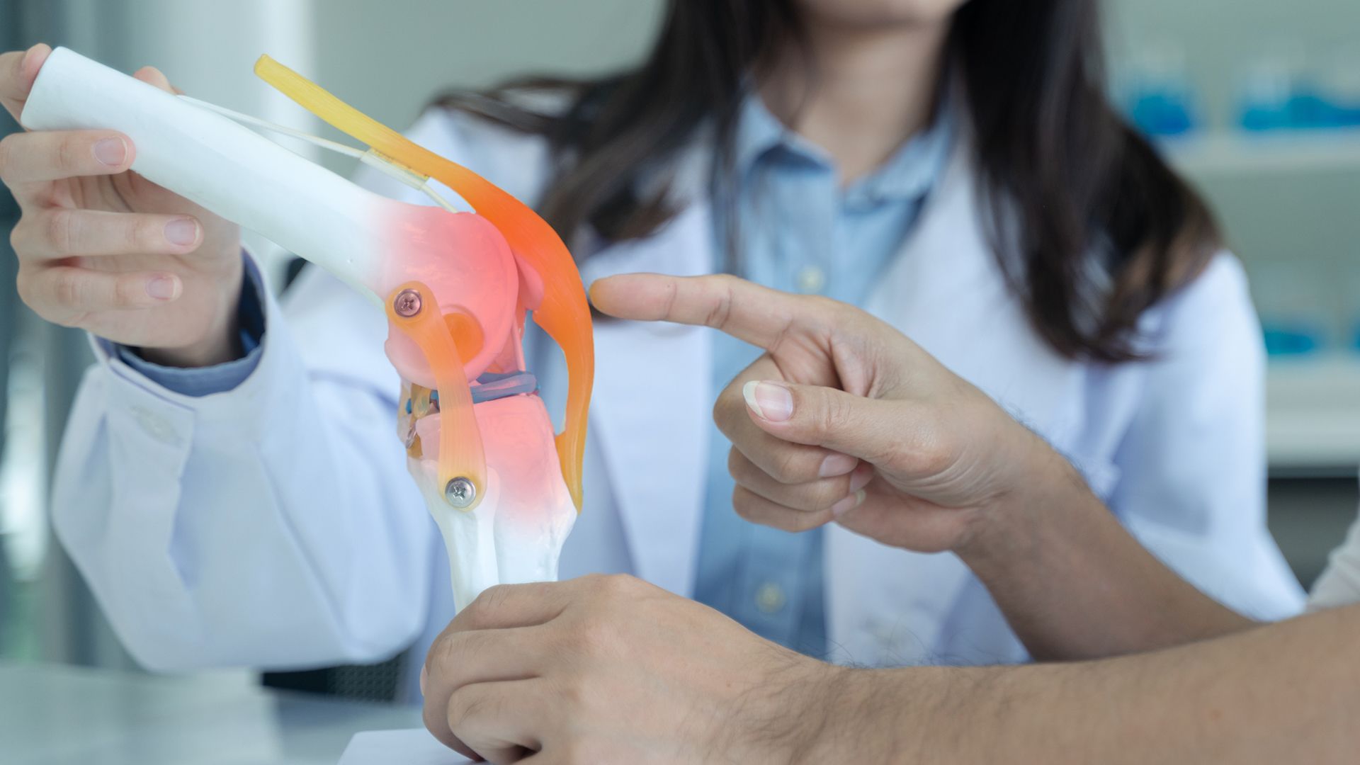 A TGCT patient’s guide to joint anatomy