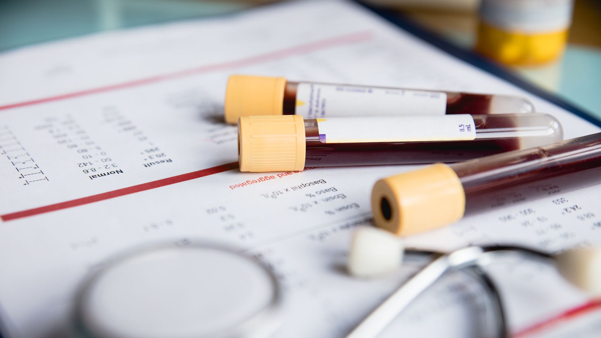 How chronic myeloid leukemia affects the body