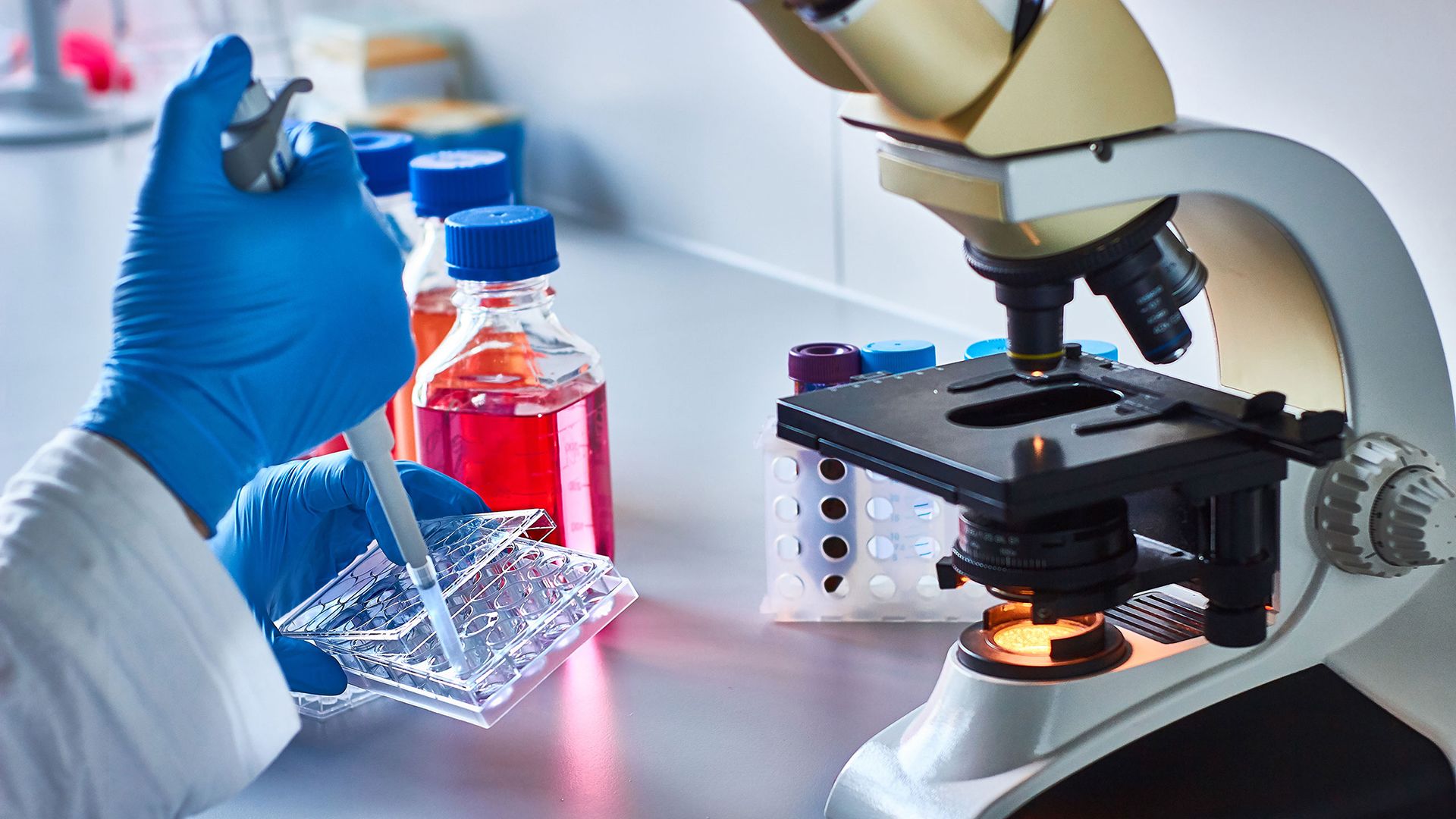 Treatment options for chronic lymphocytic leukemia