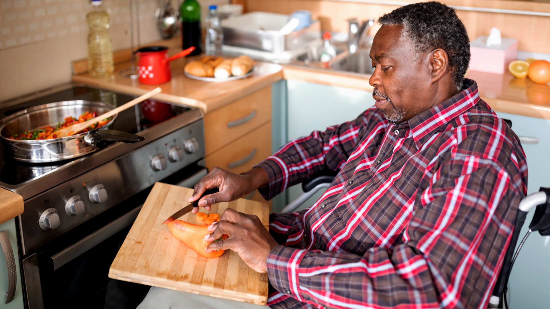 Diet, Nutrition and Multiple Sclerosis