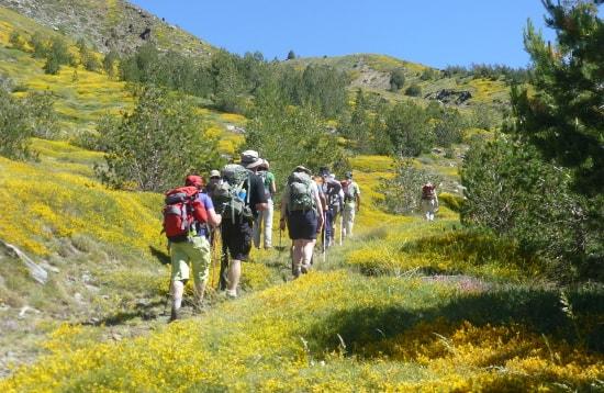 Walking and hiking tours Granada