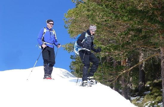 Snowshoeing in the high forests of the Alpujarras