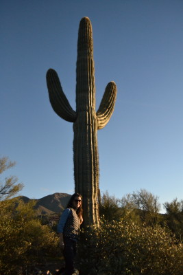 Cactus