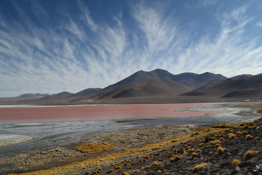 Laguna Colorada