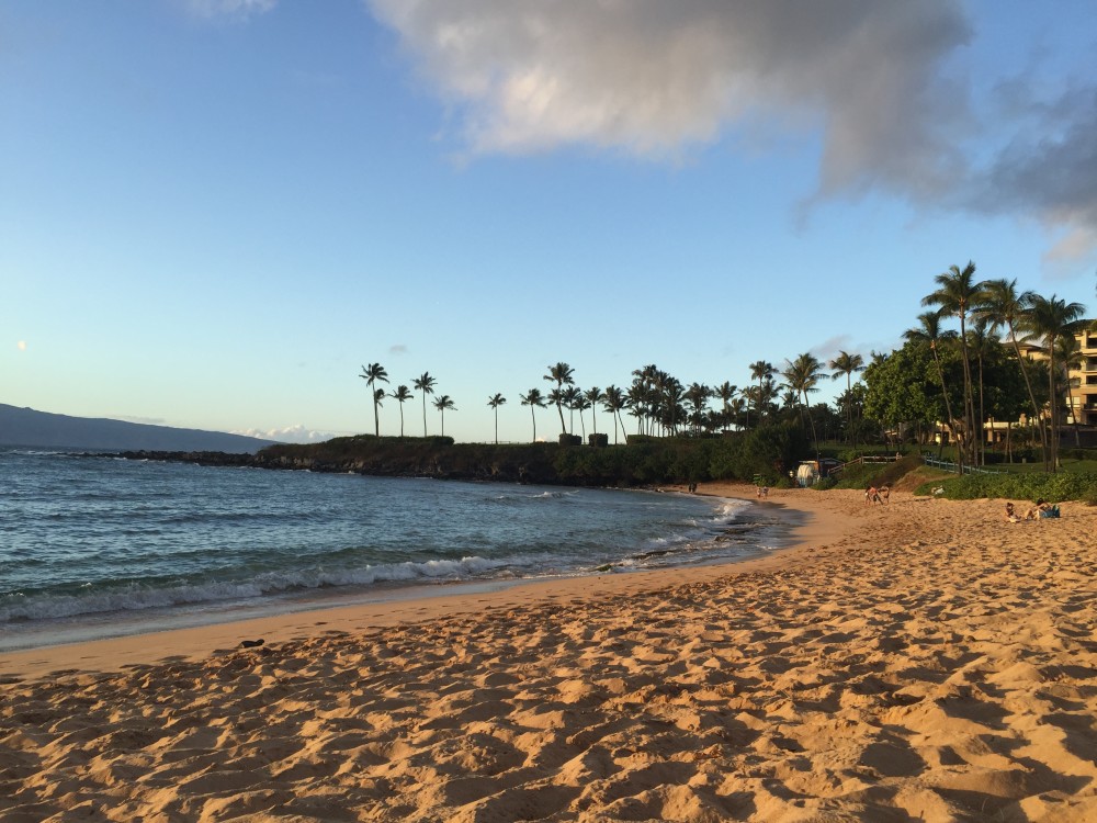 Postcard-worthy beach