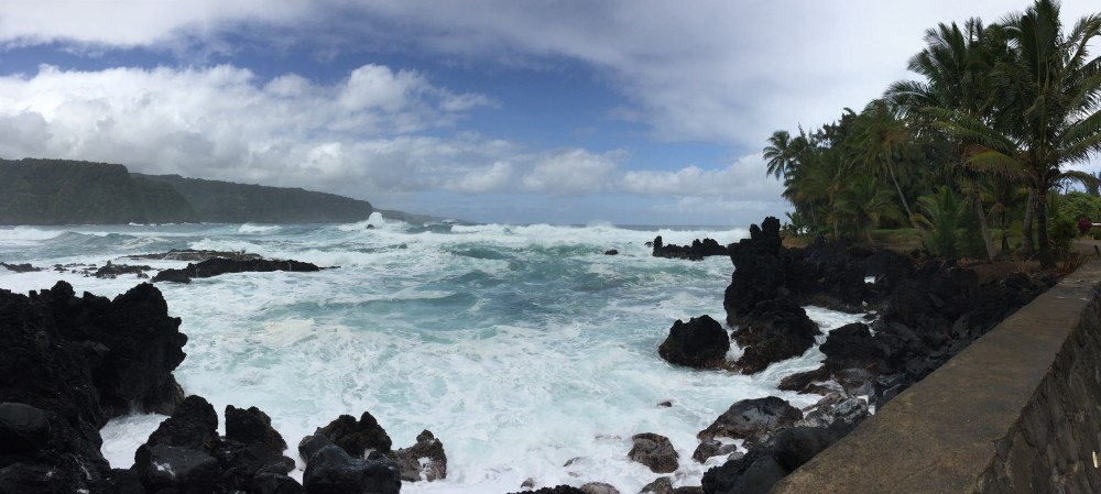 On the Road to Hana