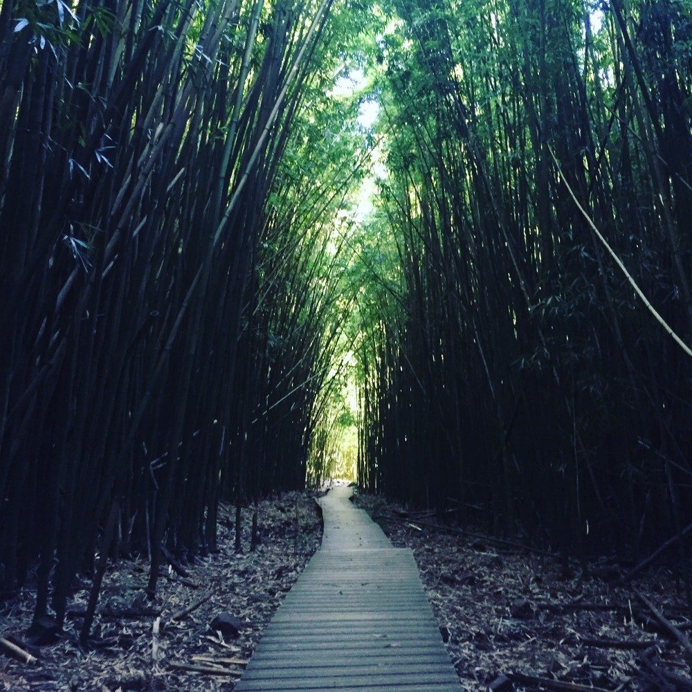 Pipiwai Bamboo Trail
