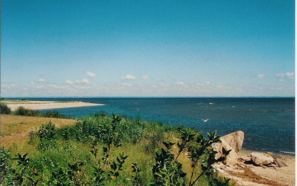 orient point fishing boats long island fishing charters long island marinas long orient point fishing boats long island fishing charters long island marinas long