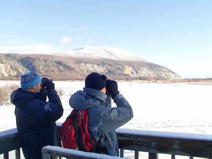 Réserve nationale de faune du Cap-Tourmente