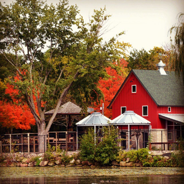 We can't get enough of the fall color!