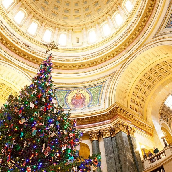 Capitol Decorated Tree