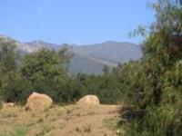 Los Padres National Forest Ranger Station