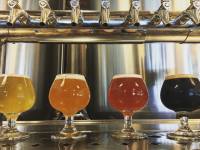 Concrete Jungle & Surf Brewery