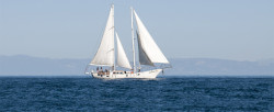 Adventure Sailing Charters