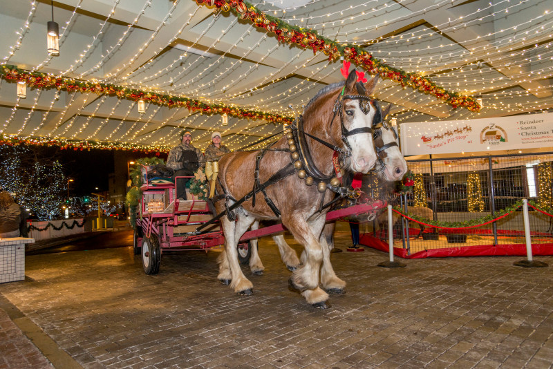 Christmas Experience