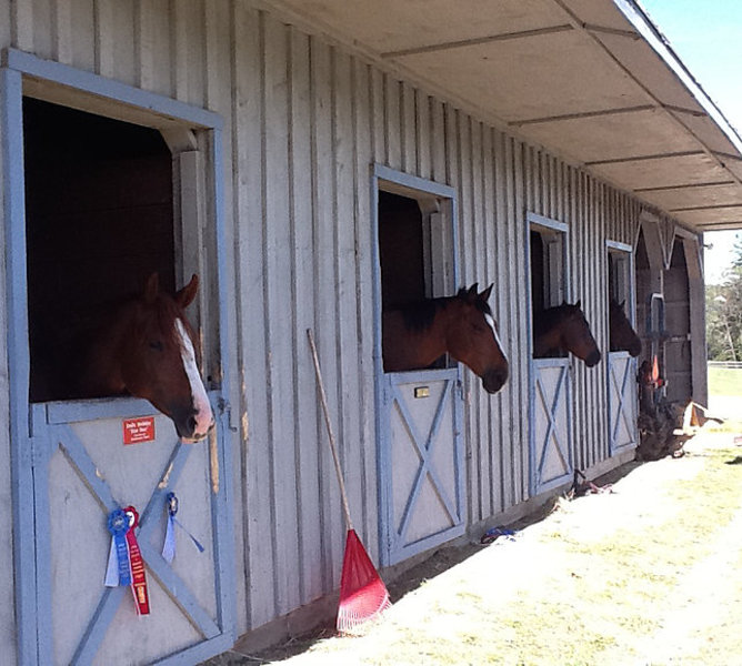 cooperstown equestrian park and rental home cooperstown ny