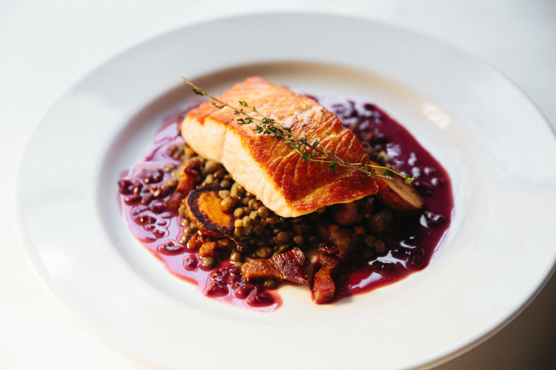Salmon