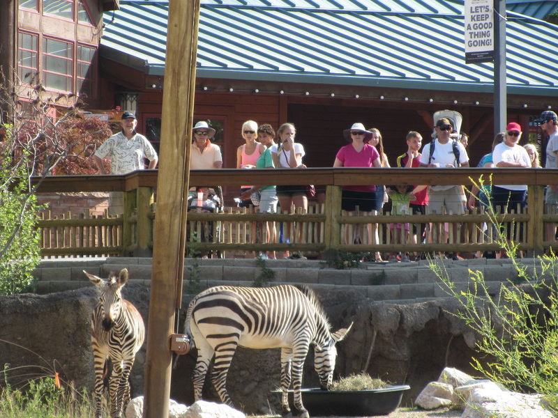 Utah's Hogle Zoo Salt Lake City, UT 841081454 Zoos & Gardens in