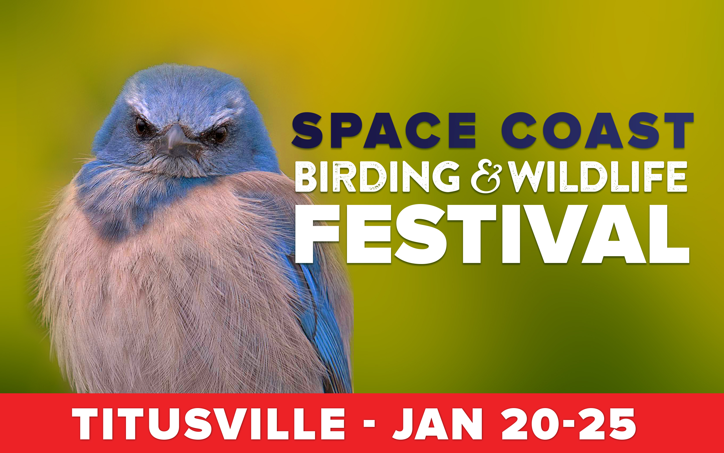 Space Coast Wildlife and Birding Festival, Begins Wednesday King