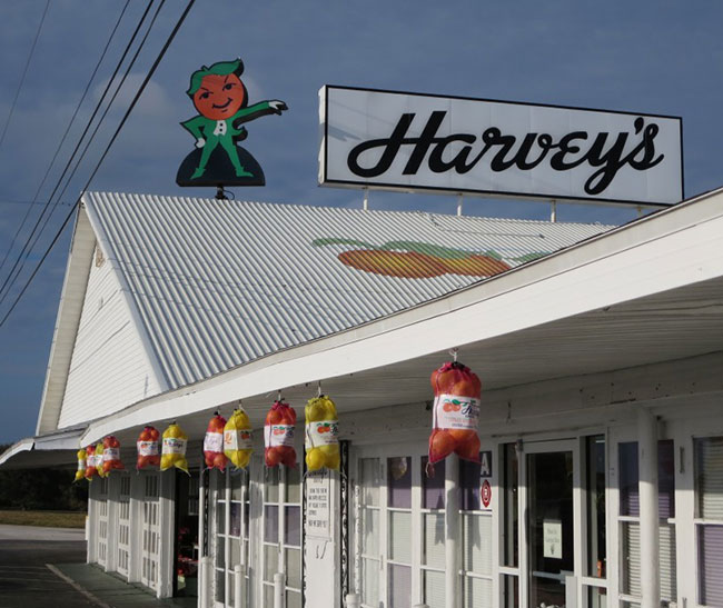 Iconic Brevard County (FL) roadside citrus stands shutting down