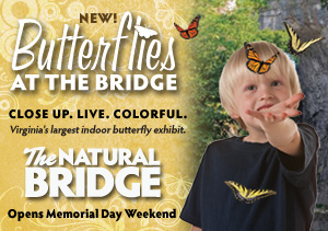 naturalbridgebutterflies